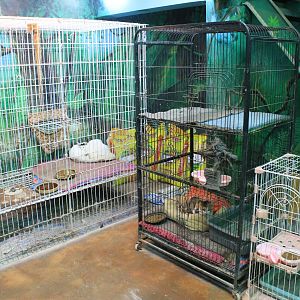 Zoo area at Fantasy Aquarium, Xi'an