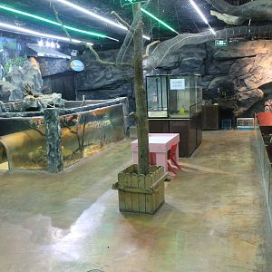 Zoo area at Fantasy Aquarium, Xi'an