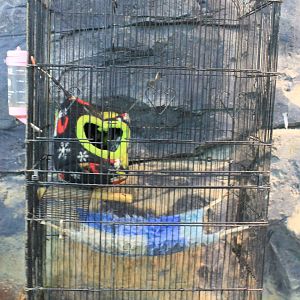 Zoo area at Fantasy Aquarium, Xi'an