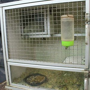 Zoo area at Fantasy Aquarium, Xi'an