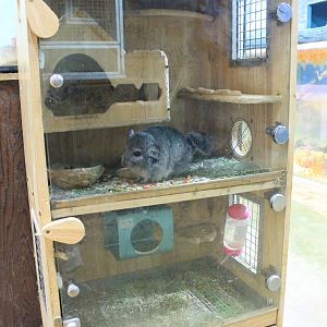 Zoo area at Fantasy Aquarium, Xi'an