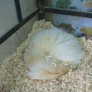 Zoo area at Fantasy Aquarium, Xi'an