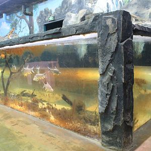 Zoo area at Fantasy Aquarium, Xi'an