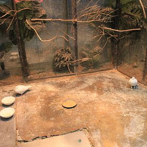 Zoo area at Fantasy Aquarium, Xi'an