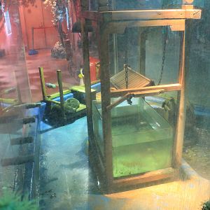 Zoo area at Fantasy Aquarium, Xi'an