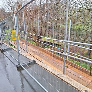 Building work happening to the African Hunting Dog exhibit- 6th January 2025