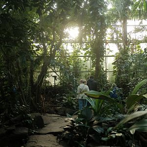 Inside Metzelaar's Greenhouse