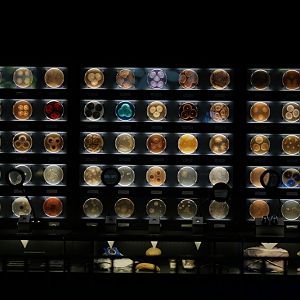 Micropia - Wall of Giant Petri Dishes