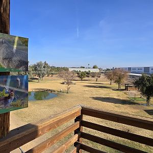 New signs, also fallow deer moved into exhibit with capybara and rhea