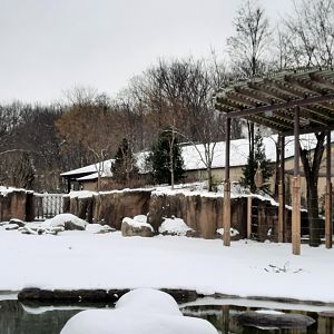 Winter on the Savannah