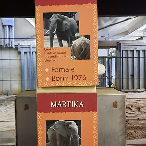Elephant ID Board 2