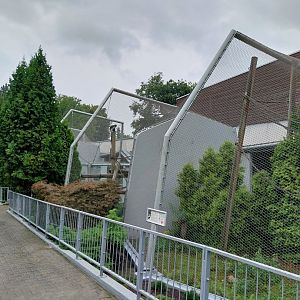 Monkey House - General view