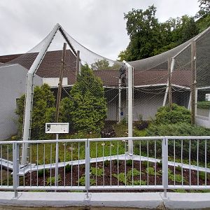 Monkey House - Lar Gibbon enclosure