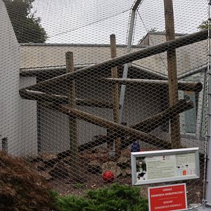 Monkey House - Mandrill enclosure