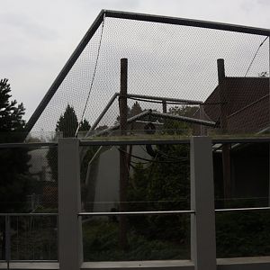 Monkey House - Lar Gibbon enclosure