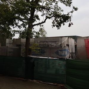 Chimpanzee construction site