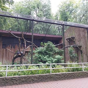 Small Mammal and Nocturnal House - Binturong enclosure