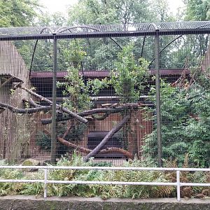 Small Mammal and Nocturnal House - Binturong enclosure