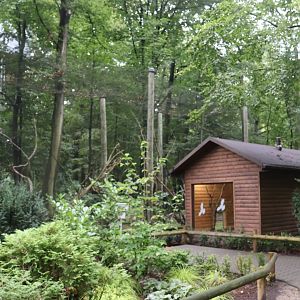 Great Curassow aviary