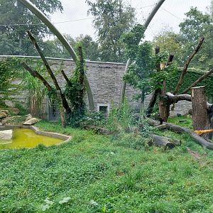 Panthera complex - Jaguar enclosure