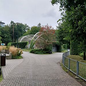 Panthera complex - General view