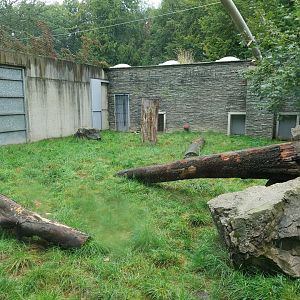 Panthera complex - Snow leopard enclosure