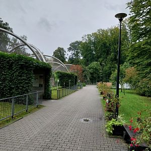 Panthera complex - General view