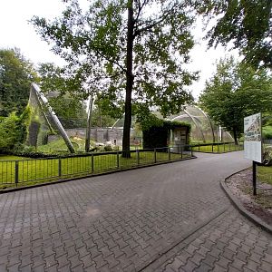 Panthera complex - Siberian tiger enclosure