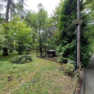 Siberian Pallas' cat enclosure