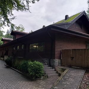 Tapir and Zebra stables