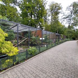 Small Carnivores enclosures
