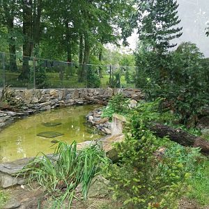 Eurasian otter enclosure