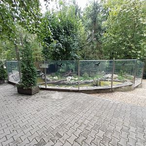 Eurasian otter enclosure