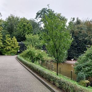 General view towards Pheasantry