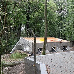 Maned Wolf construction site