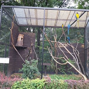 Pheasantry - Araruna aviary