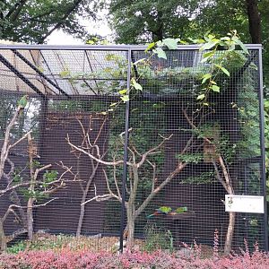 Pheasantry - Military macaw aviary