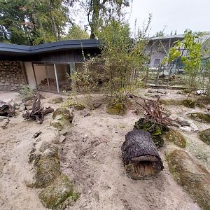 Meerkat (Suricata suricata) and Yellow Mongoose (Cynictis penicillata) enclosures