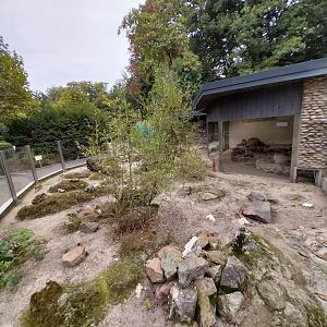 Meerkat (Suricata suricata) and Yellow Mongoose (Cynictis penicillata) enclosures