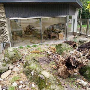 Meerkat (Suricata suricata) and Yellow Mongoose (Cynictis penicillata) enclosures