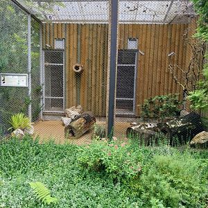 Fennec Fox enclosures