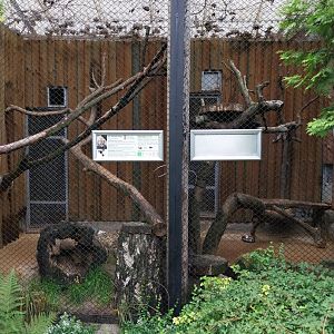 Geoffroy's Cat enclosures