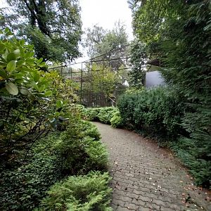 Off-show Andean Condor breeding aviaries