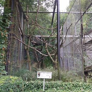 Old Monkey House - Red Ruffed Lemur enclosure