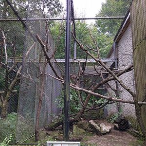 Old Monkey House - Ring-tailed Lemur enclosure