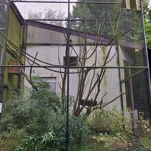 Old Monkey House - Ring-tailed Lemur enclosure