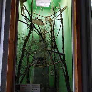 Old Monkey House - Common Squirrel Monkey (Saimiri sciureus) enclosure