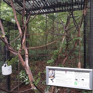 Old Monkey House - Common Squirrel Monkey enclosure