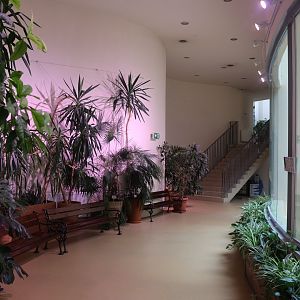 Giraffe building - Visitor area