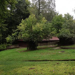 South American Tapir enclosure
